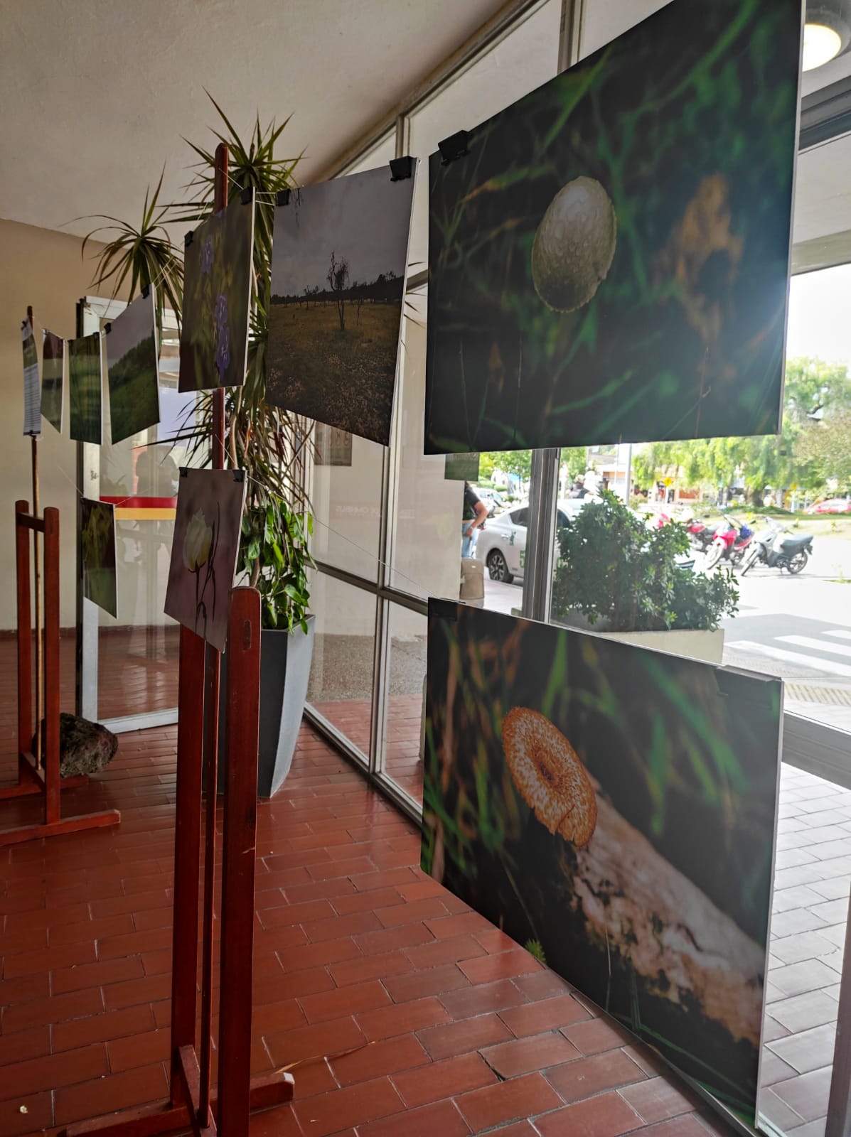 Muestra itinerante Fray Bentos 2