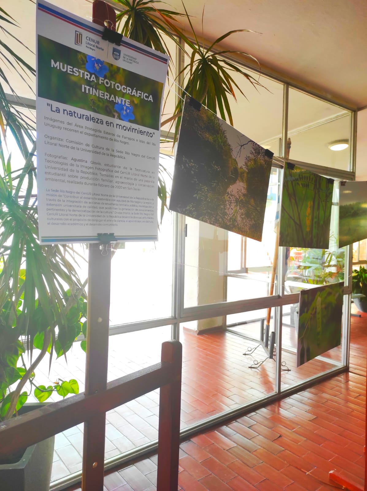 Muestra itinerante Fray Bentos 3