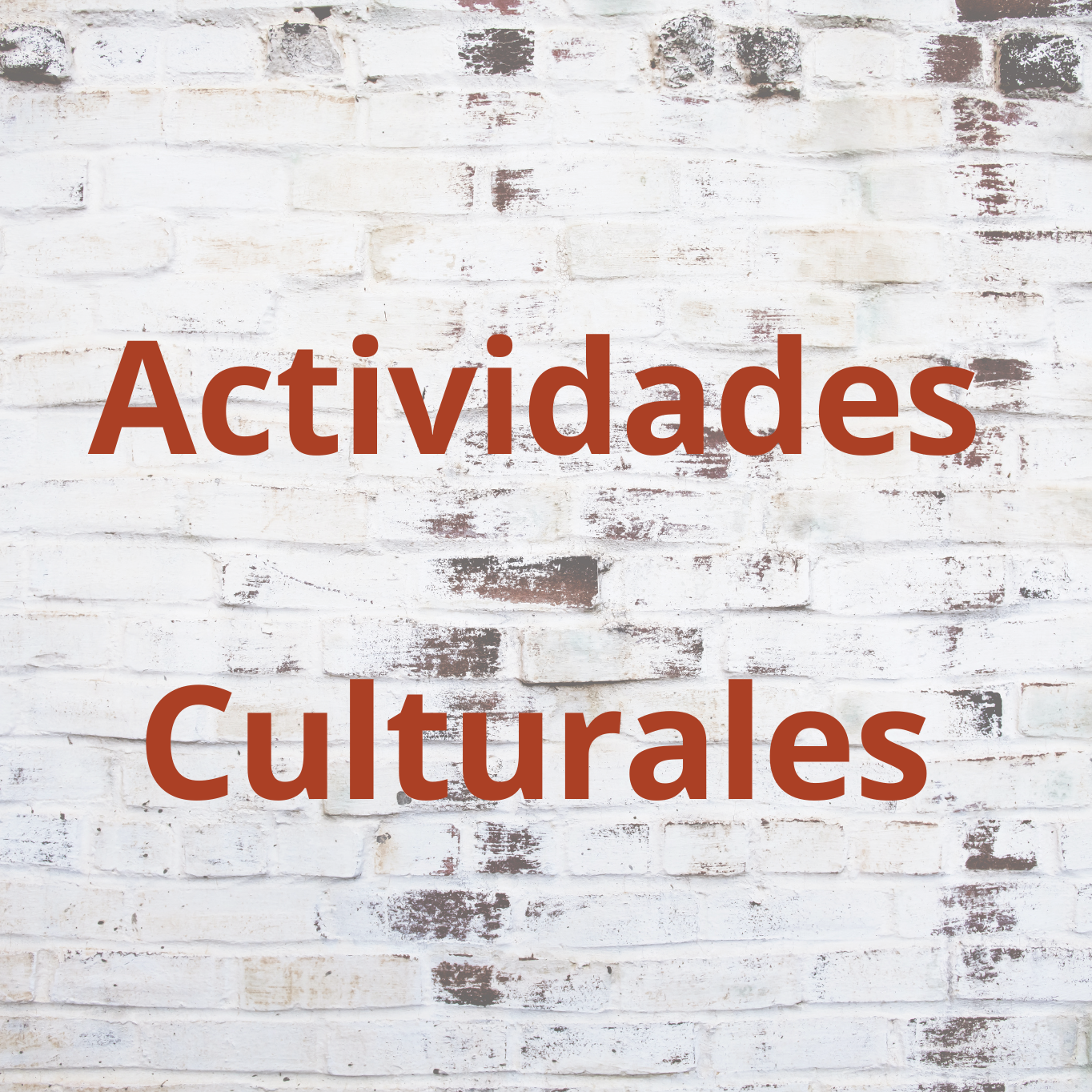 Actividades Culturales Salto