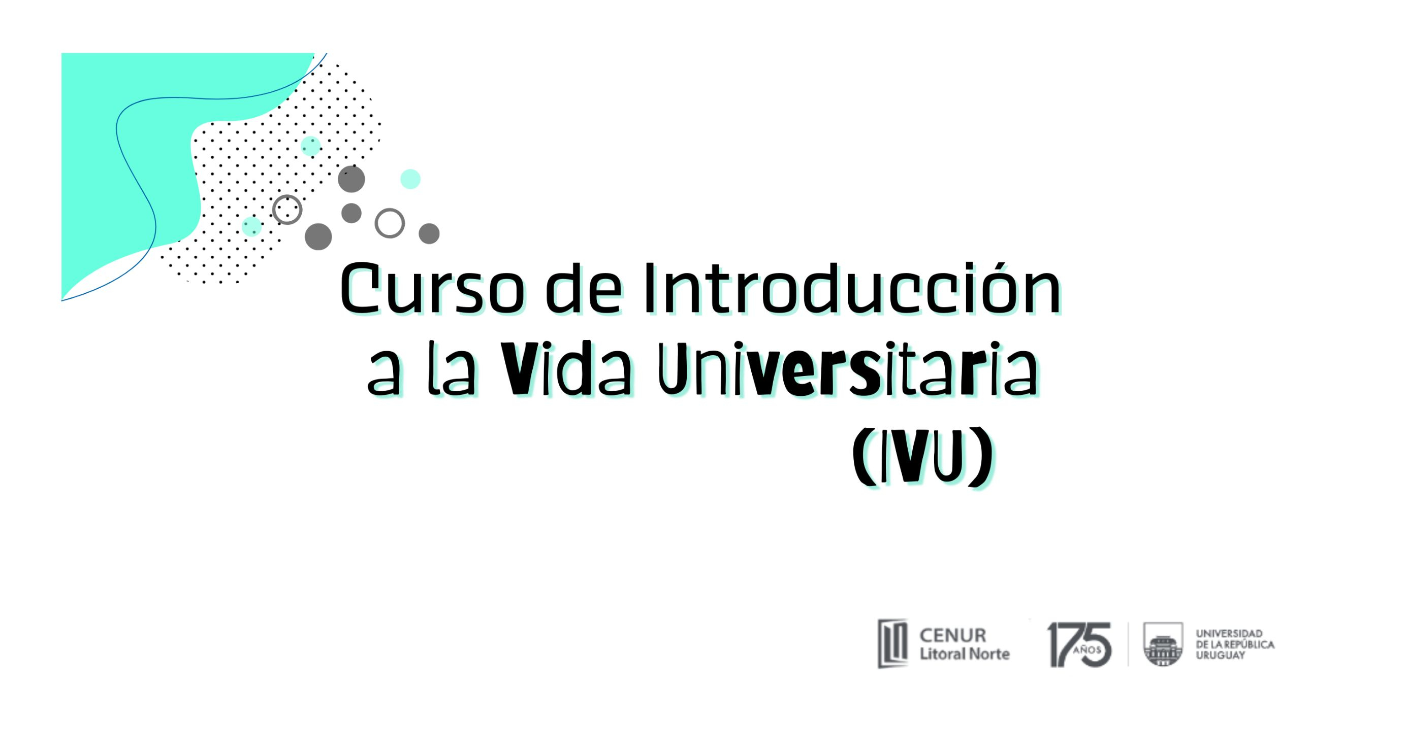 Curso Introducción a la vida universitaria para estudiantes de ingreso, edición 2025